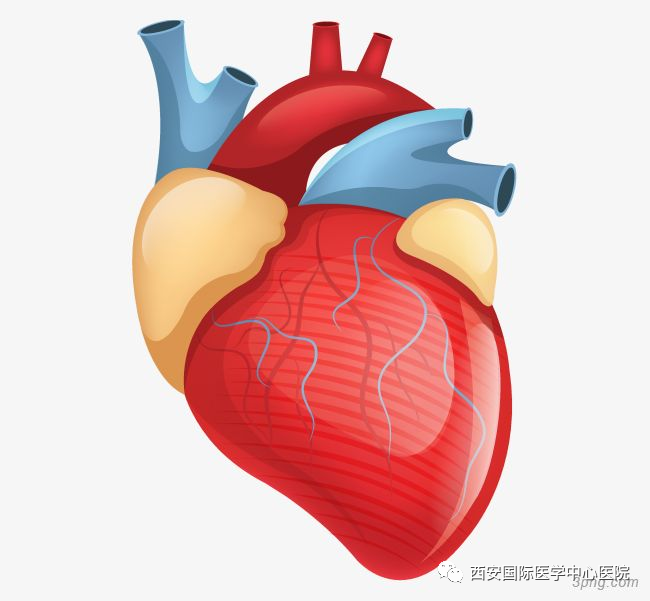 【科普】8個(gè)小技巧教你保護(hù)“心”里的“雙拼別墅”