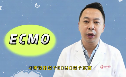 什么是ECMO？