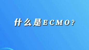 【名醫(yī)面對面之心臟100問】什么是ECMO？